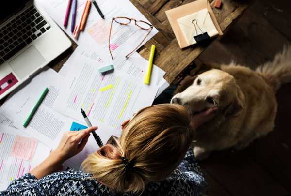 les bienfaits de la présence des animaux de compagnie au travail